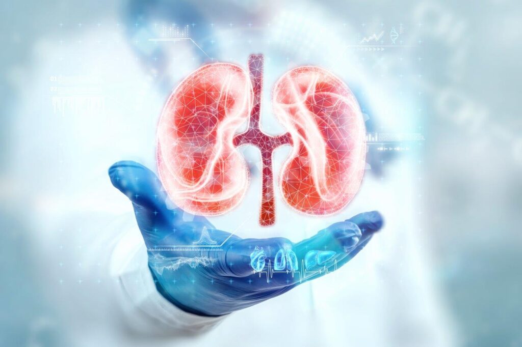 Dubai Dialysis Clinics: Achieving Protocol-Driven Efficiency through Clinicea’s Digital Integrations